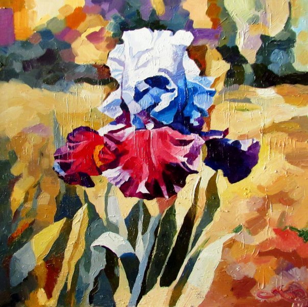 Iris Digital Art - Anna Kolos - Jose Art Gallery