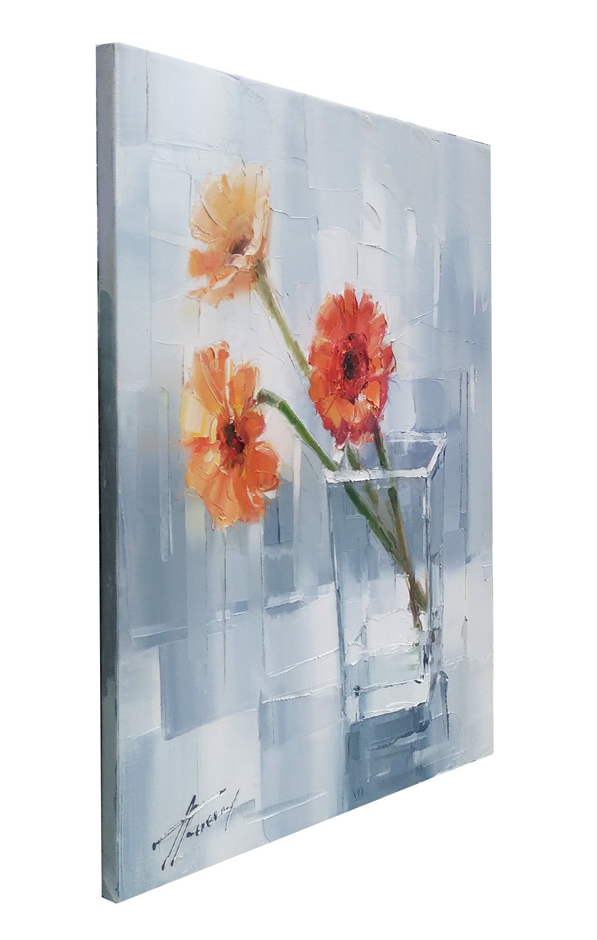 Gerberas - buy