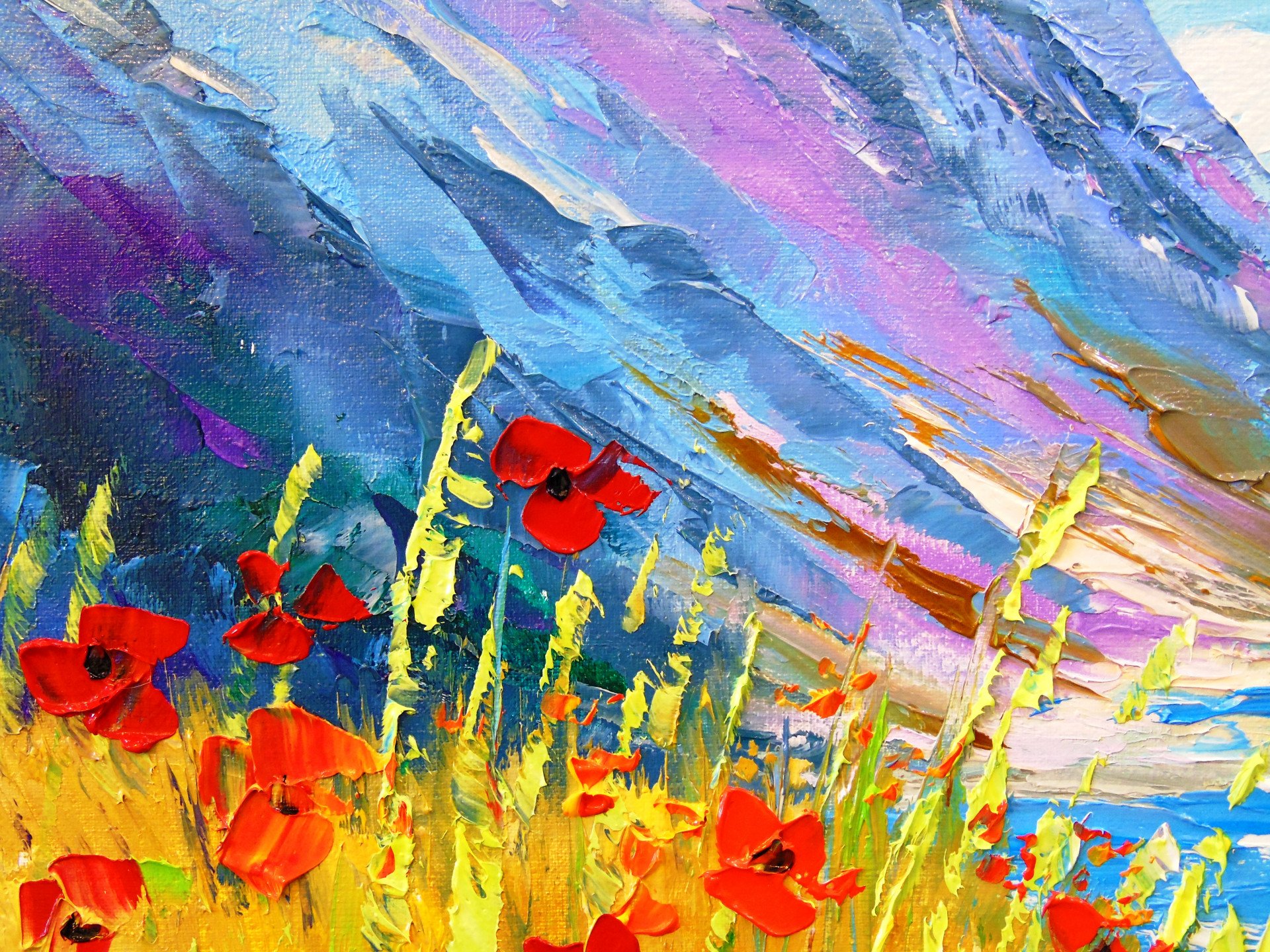 Poppies by the sea - buy