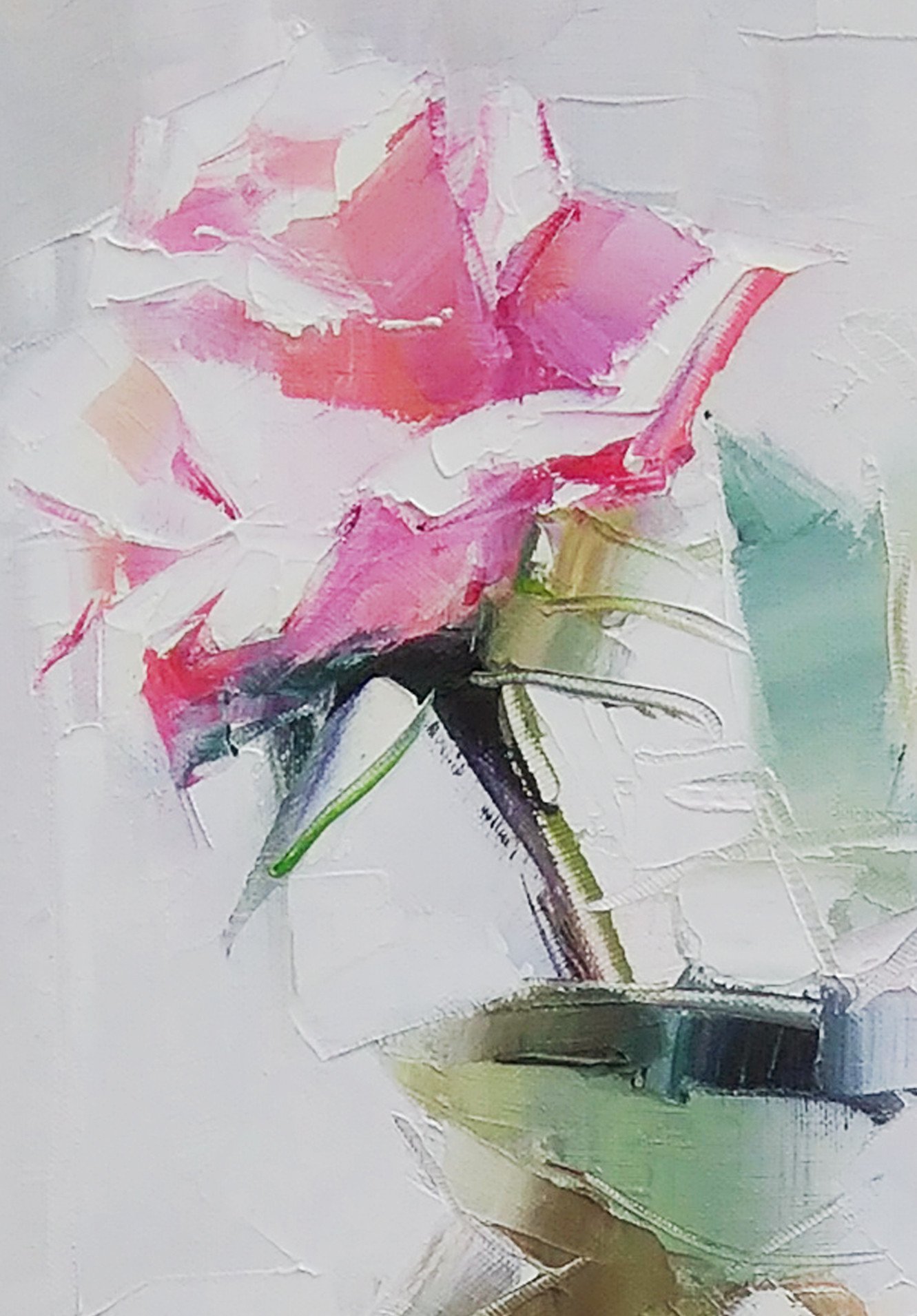 Roses - buy