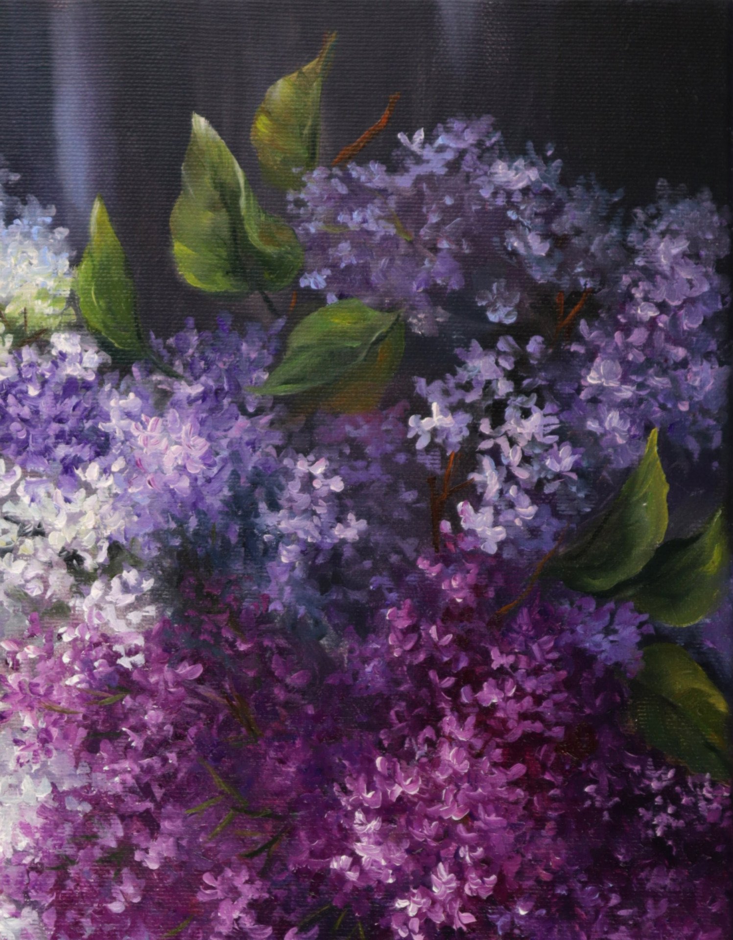 Velvet of the night - painting