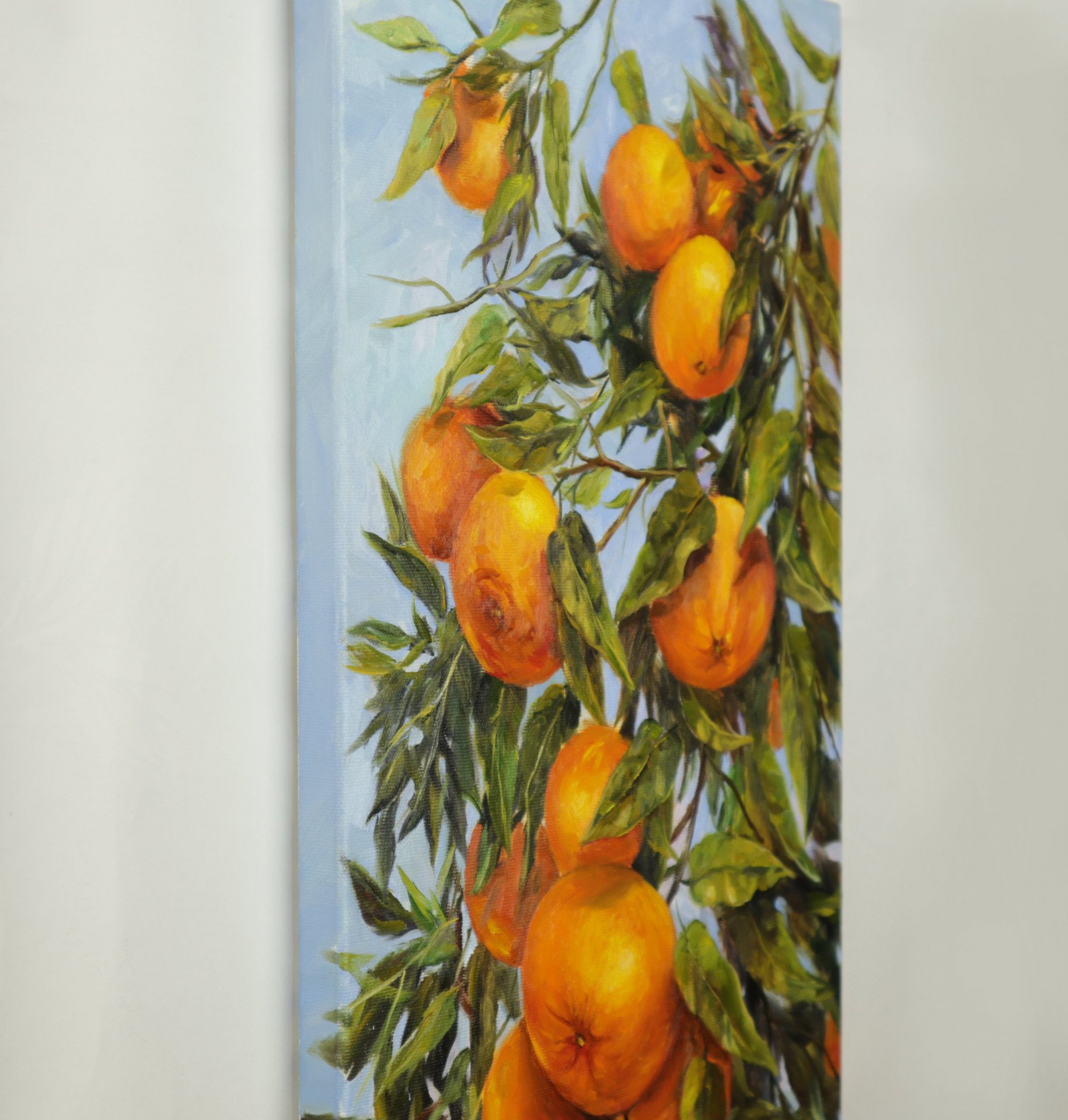 Florida Honey Tangerines - buy online