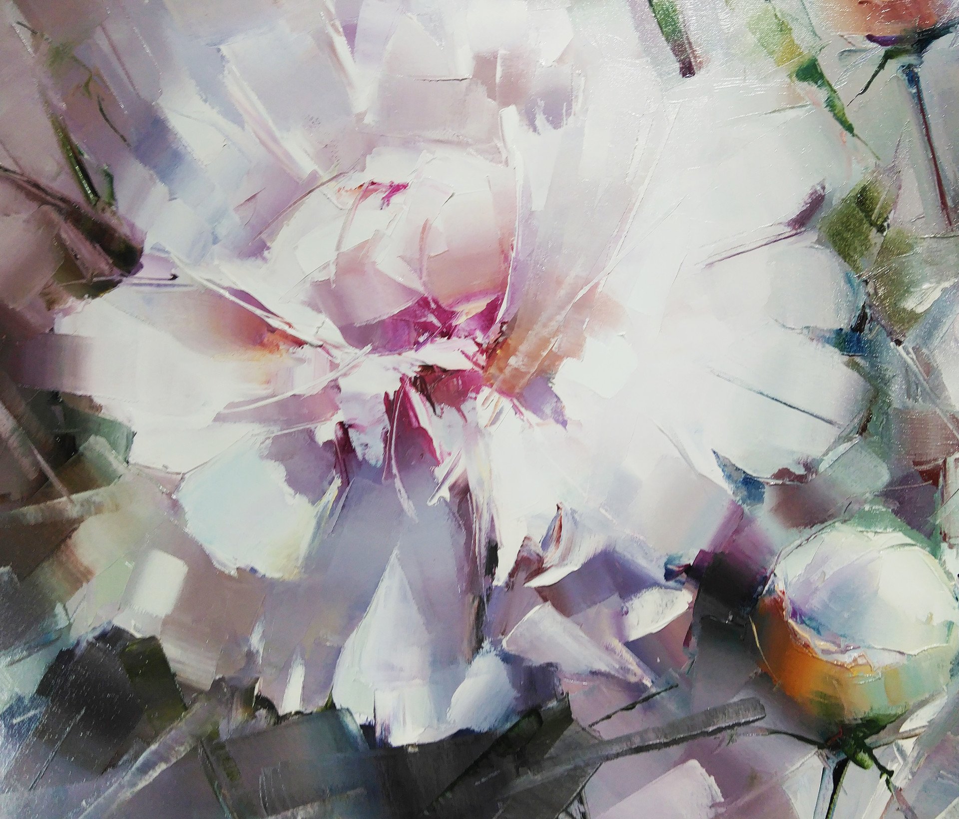 Peonies on the loose - buy