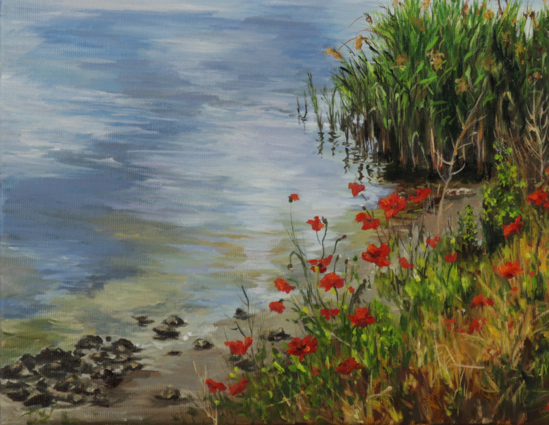 Poppies near the river - painting