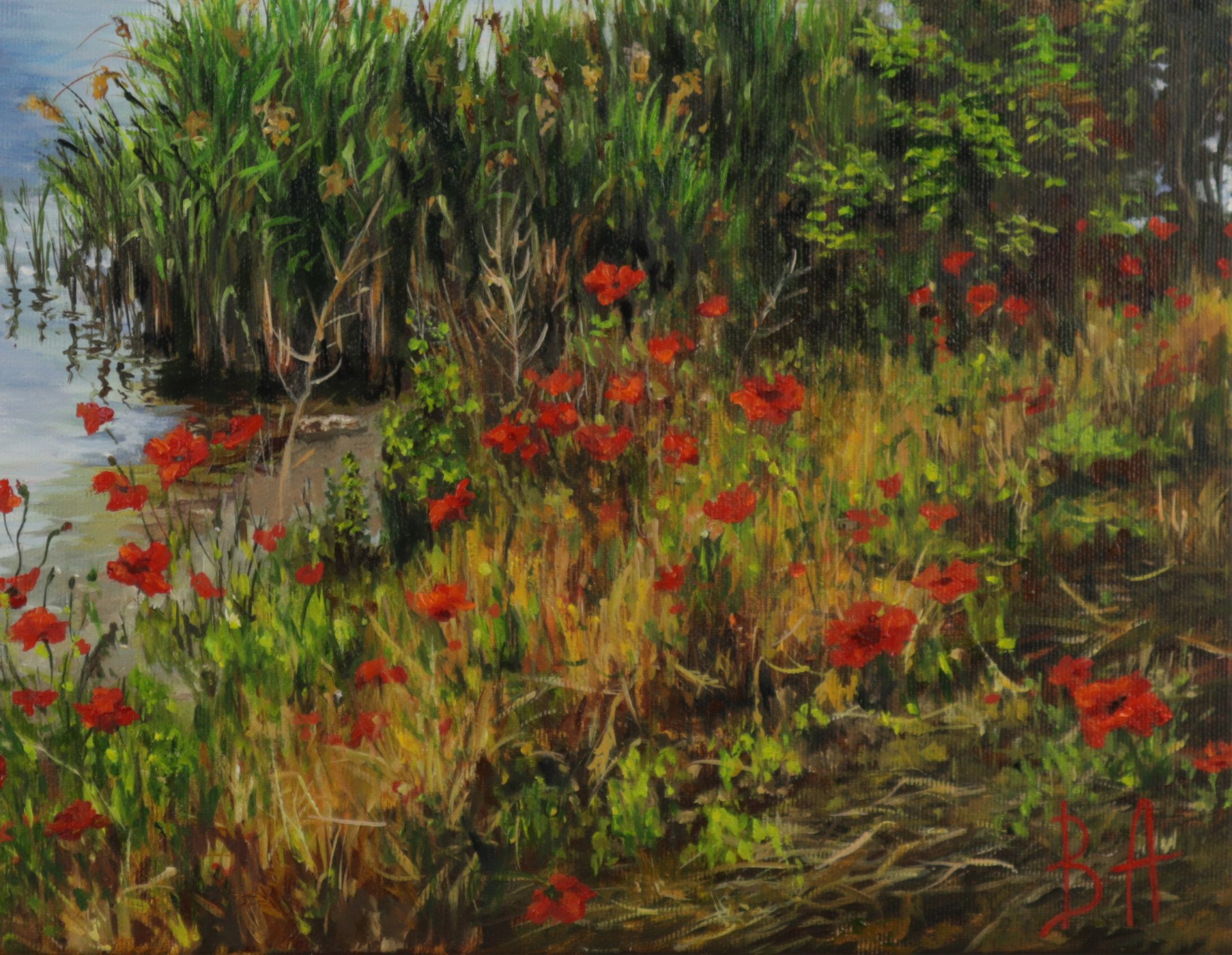 Poppies near the river - order