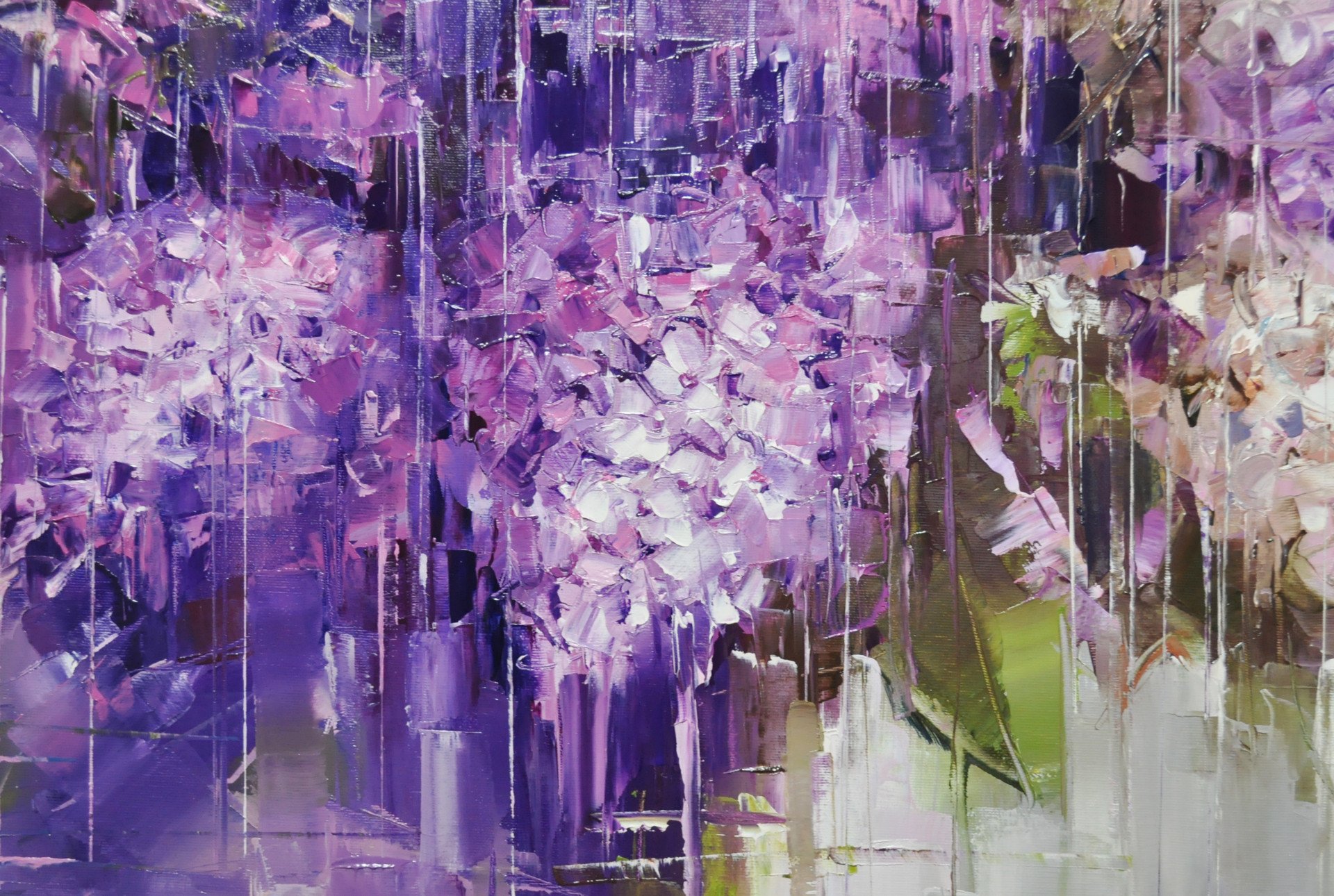 Lilac - buy