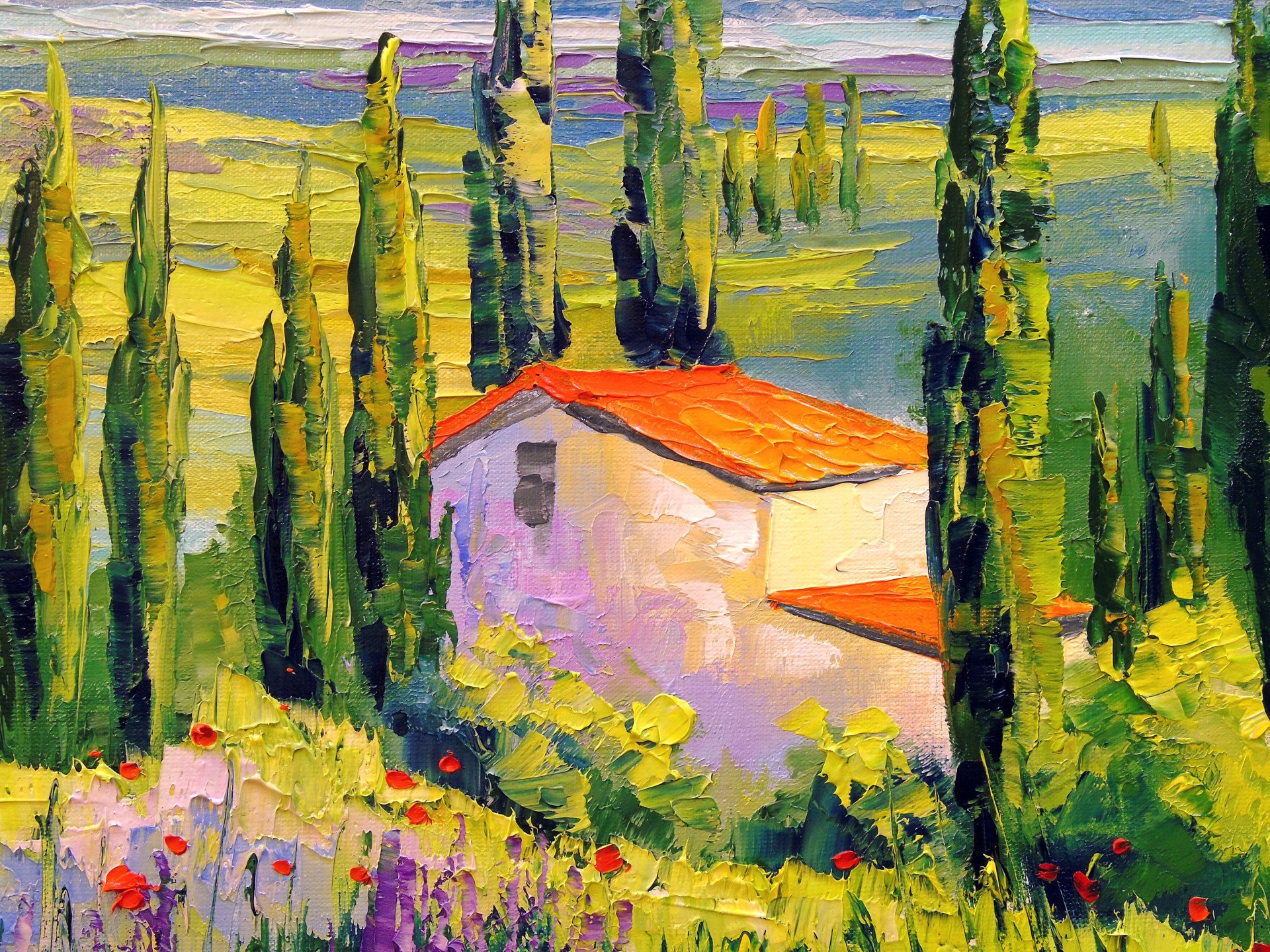 House in Provence - buy