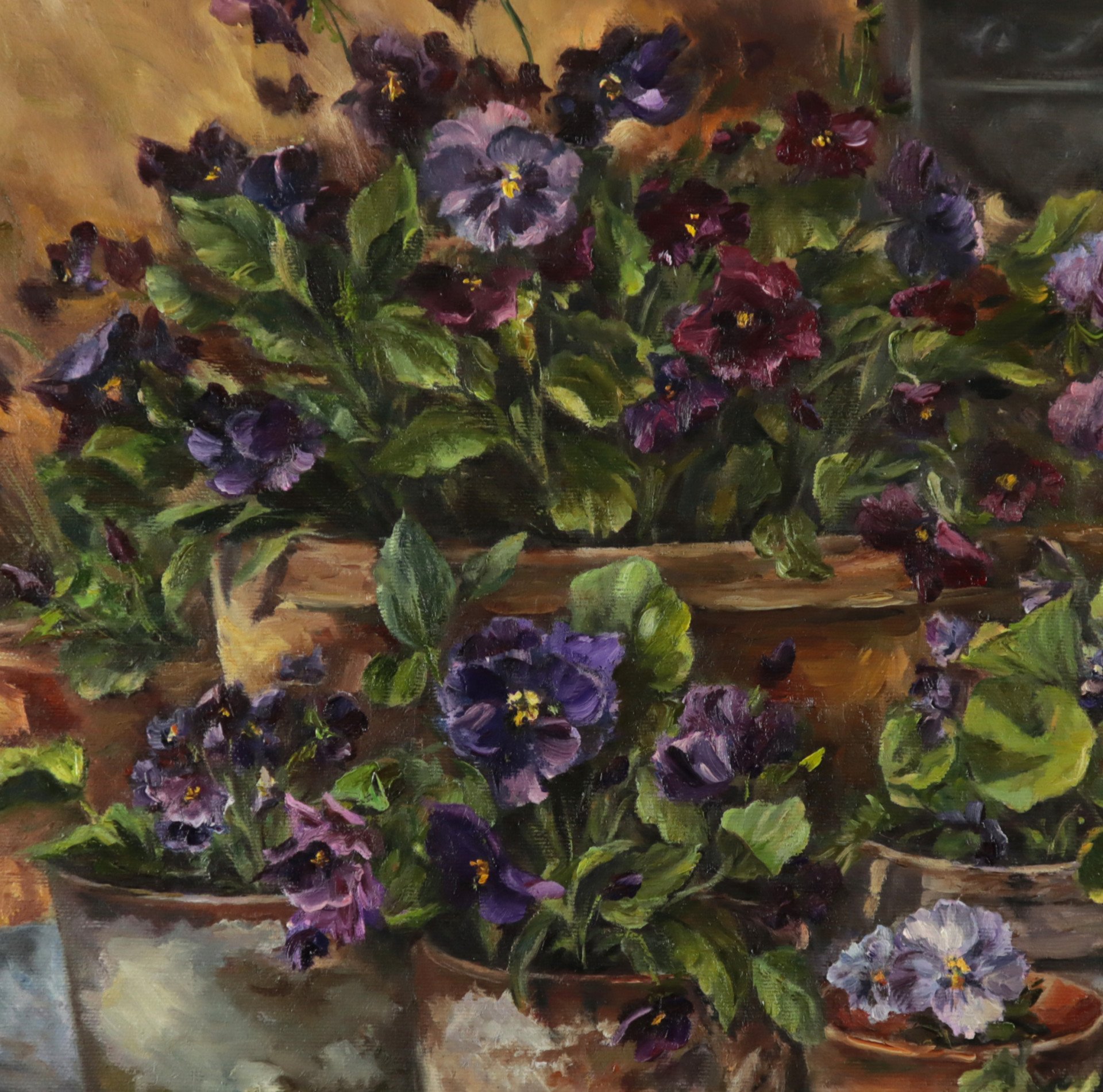 Pansies - order
