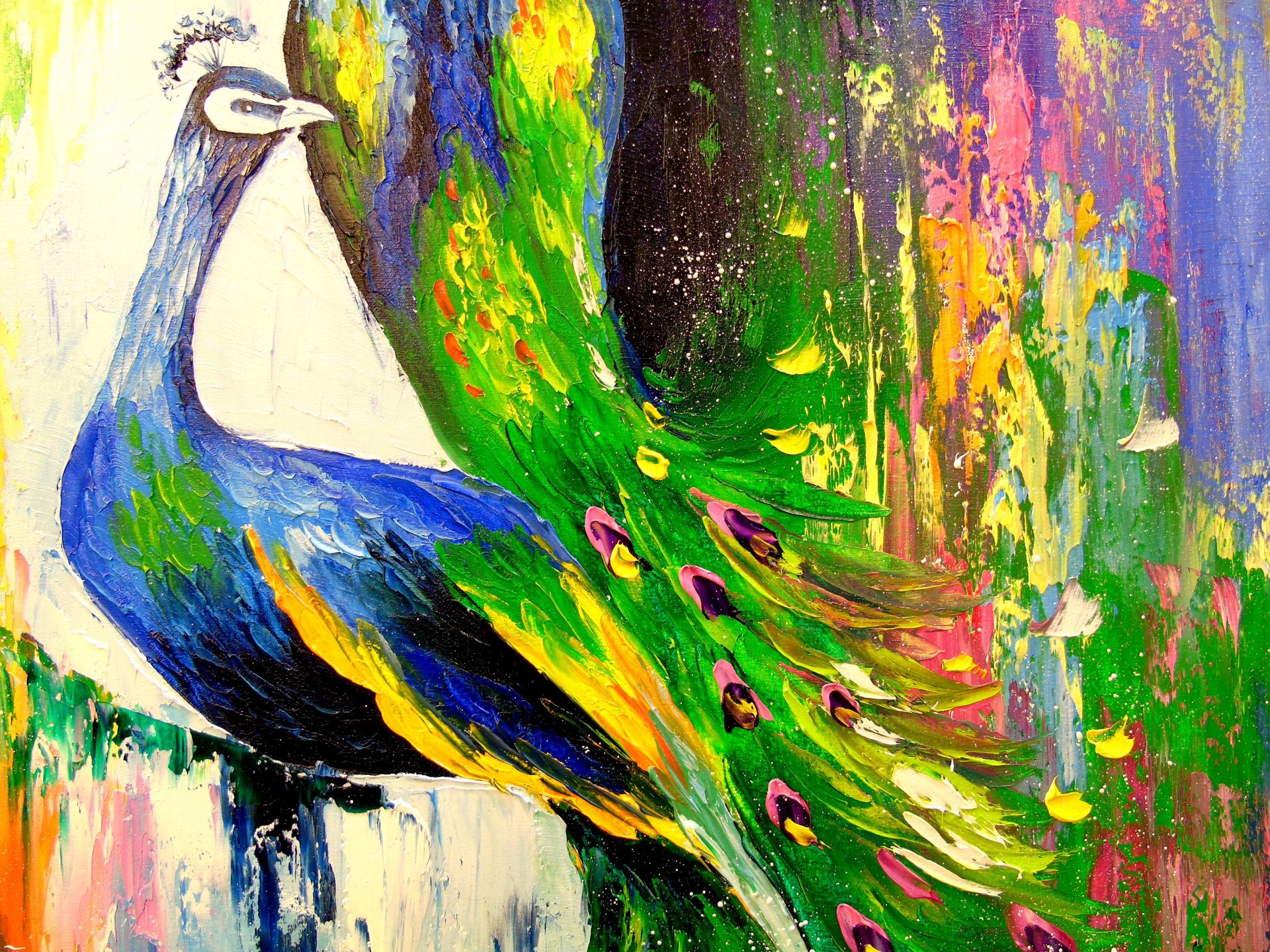Peacocks - buy