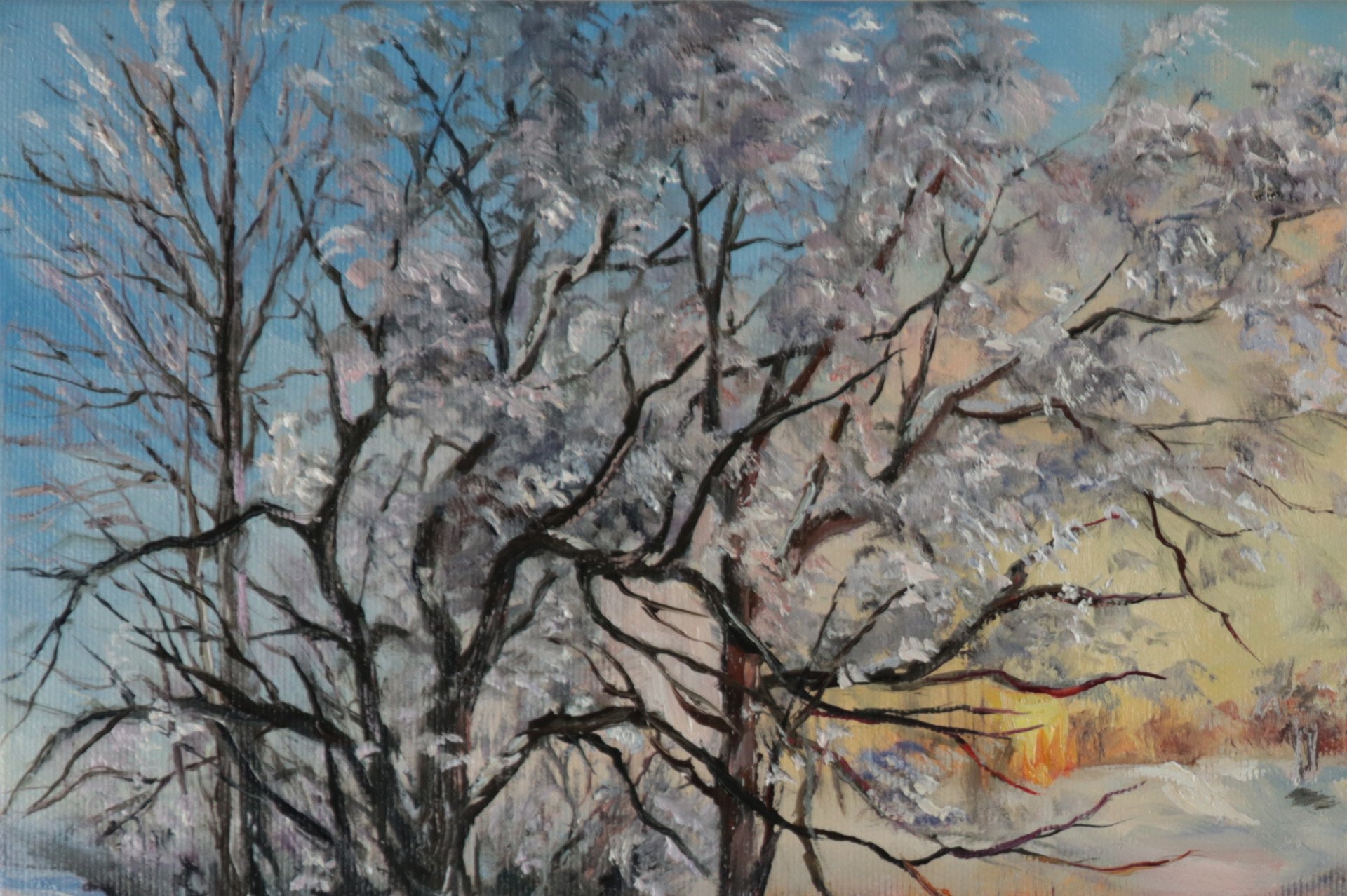 Snowy winter - order