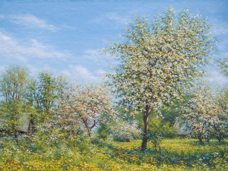 Gemälde «Goldene Blume», Petr Parhimovich - Jose Art Gallery