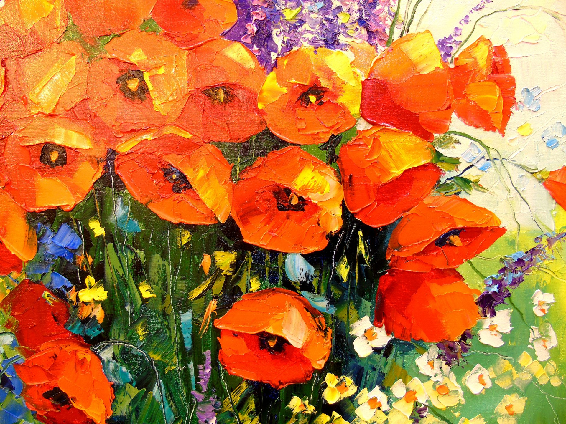 Bouquet of red poppies - buy