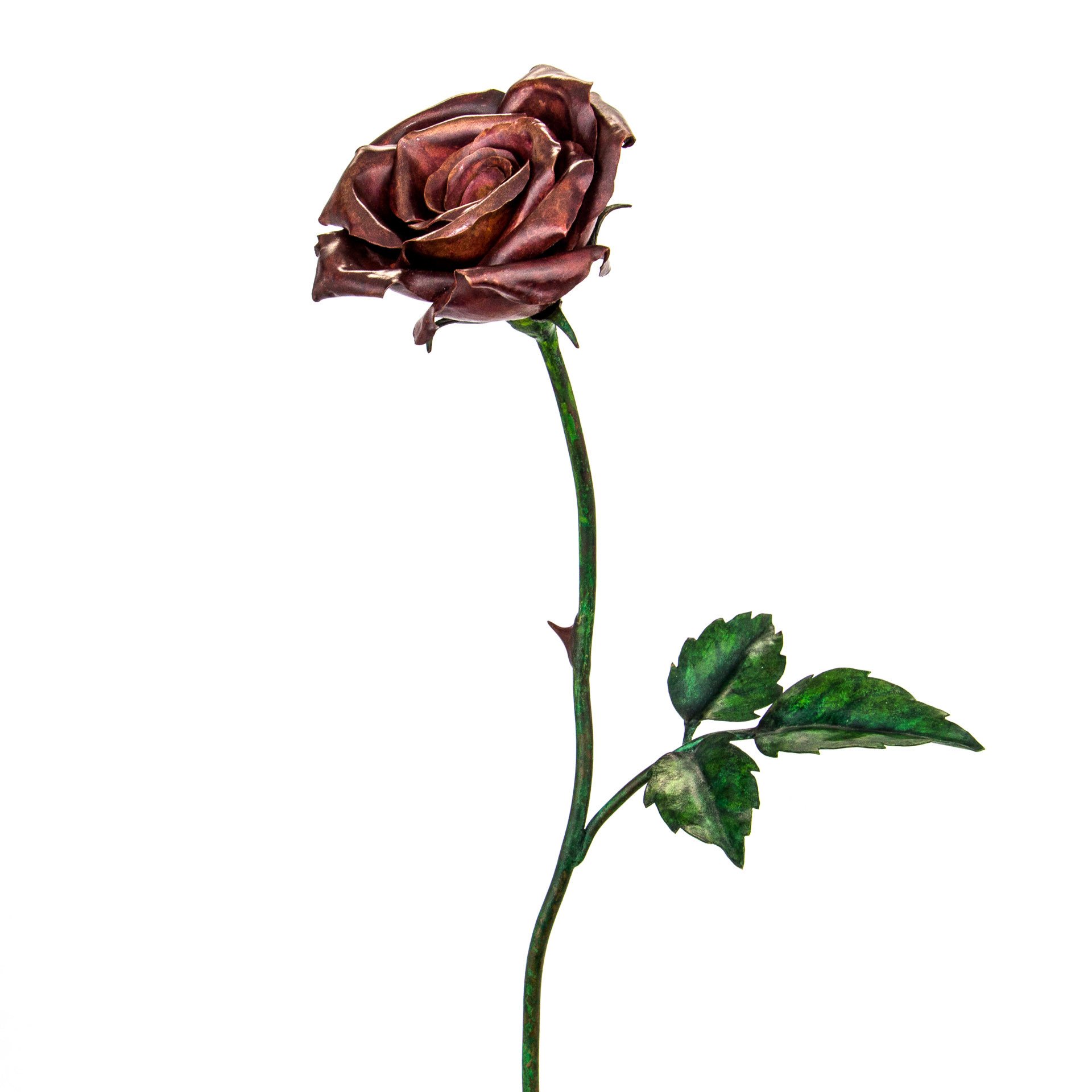 Copper Rose no. 001 - buy