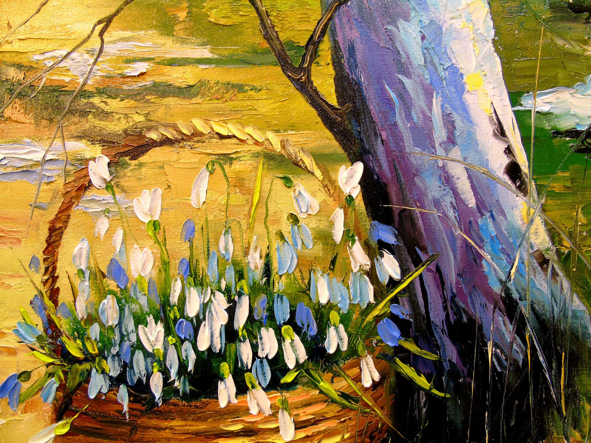 Basket with snowdrops - buy