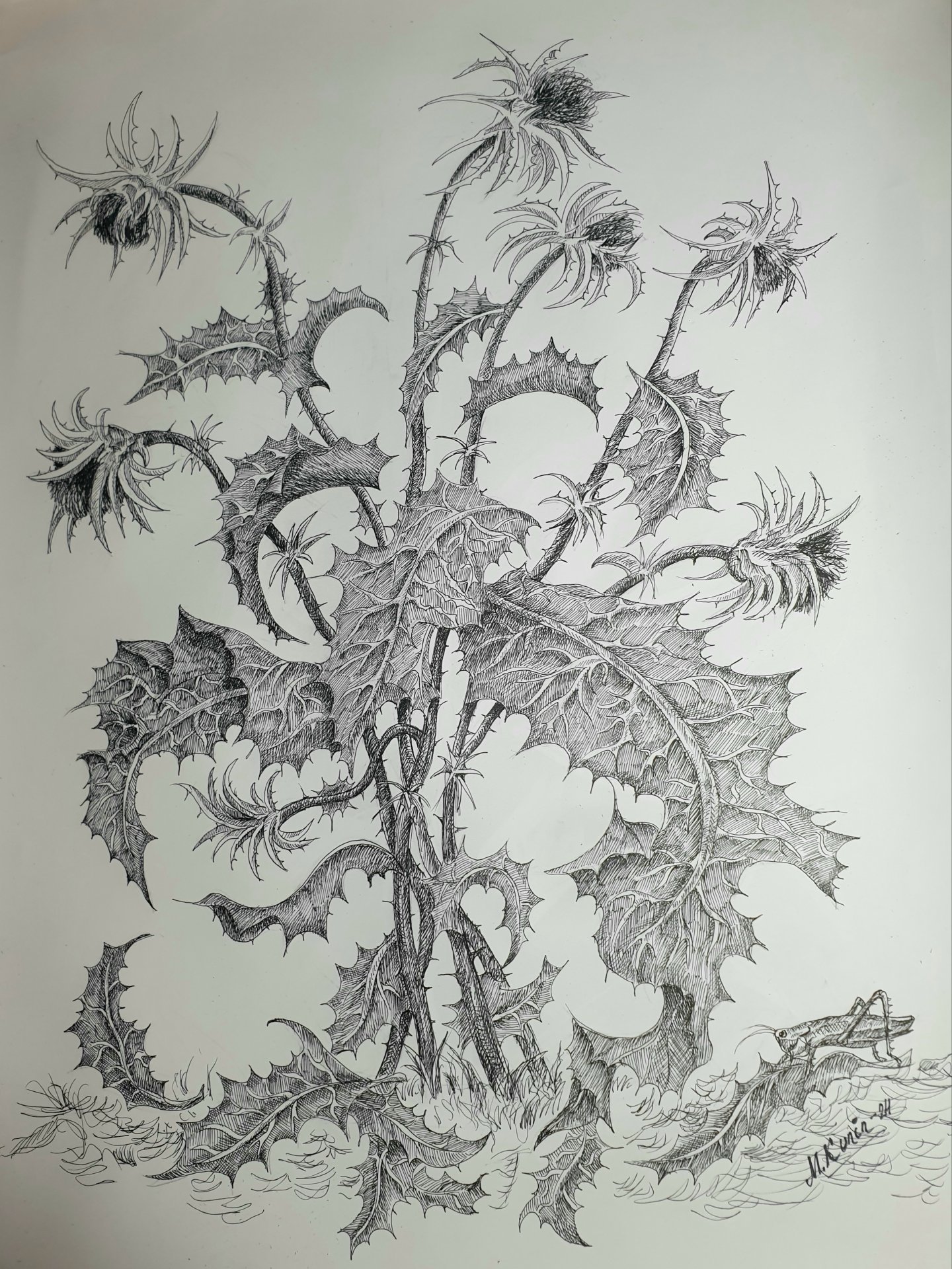 Thistle: The Beauty of Withered Stems, image size:1440x1920