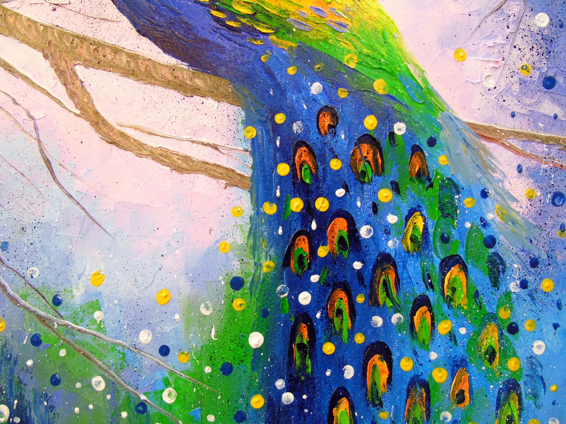 Peacock - buy