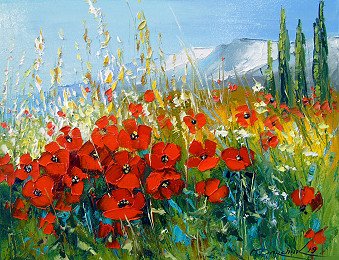 Summer poppies