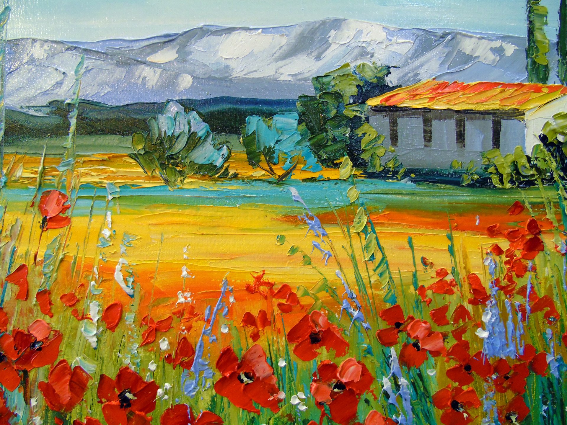 Poppy field near the mountains - buy