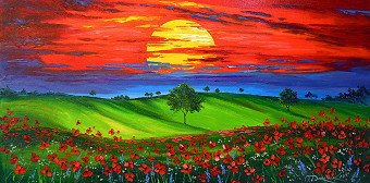 Sunset over the poppy field