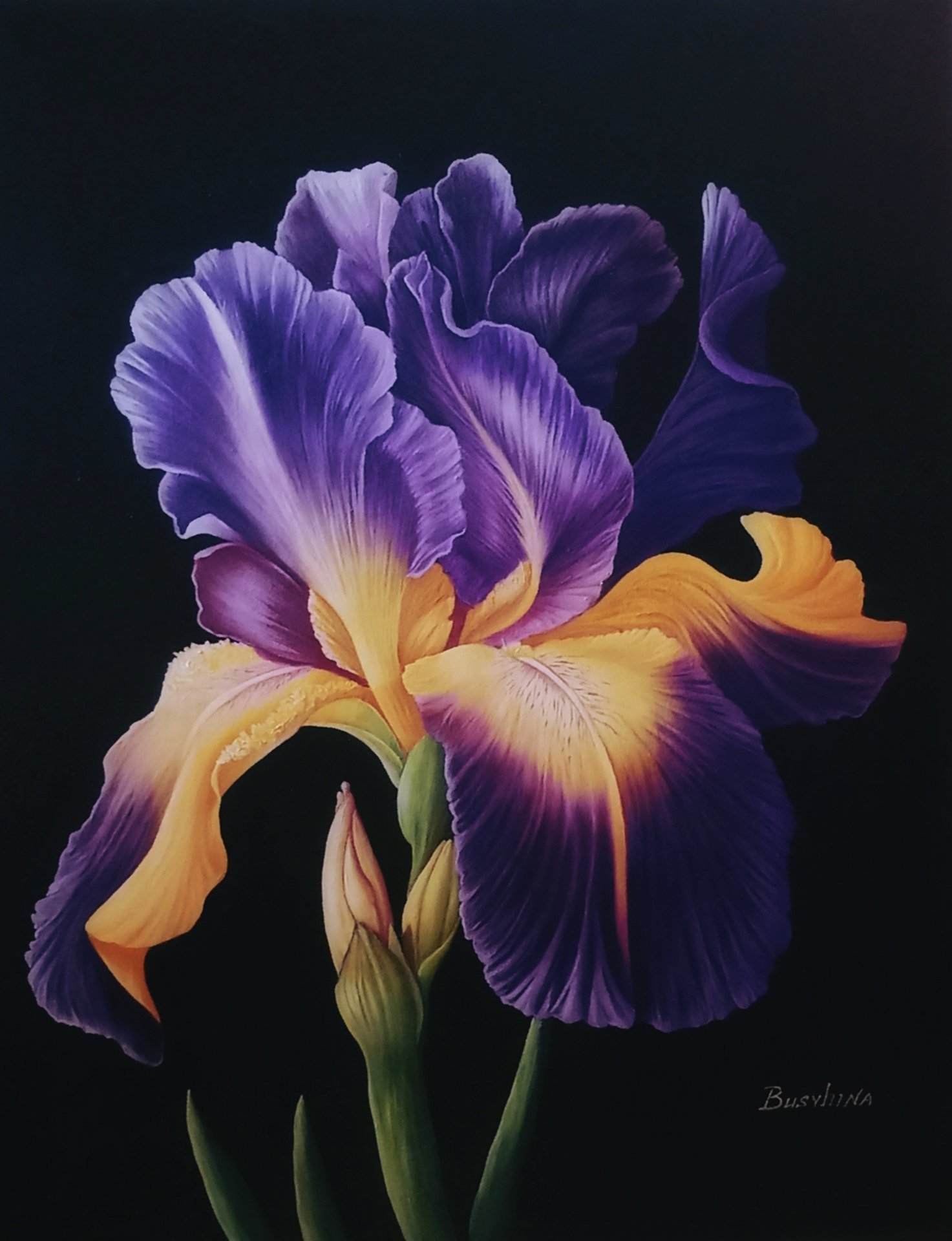 Video Review of Iris. Life in the dark – Painting by Daryna Busyhina