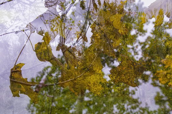 Autumn Surrealism. Art of Autumn