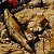 Noah: Ancient Symbols and Eternity – buy