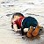 Aylan's Vigil: Portrait of Humanity – painting