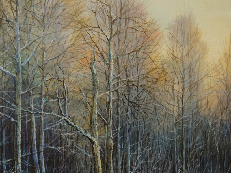 Immagine aggiuntiva 1: Fotorealismo Paesaggio Pittura "Pietre opache: riflessi invernali silenziosi", pittore Oleg Riabchuk olio tela 