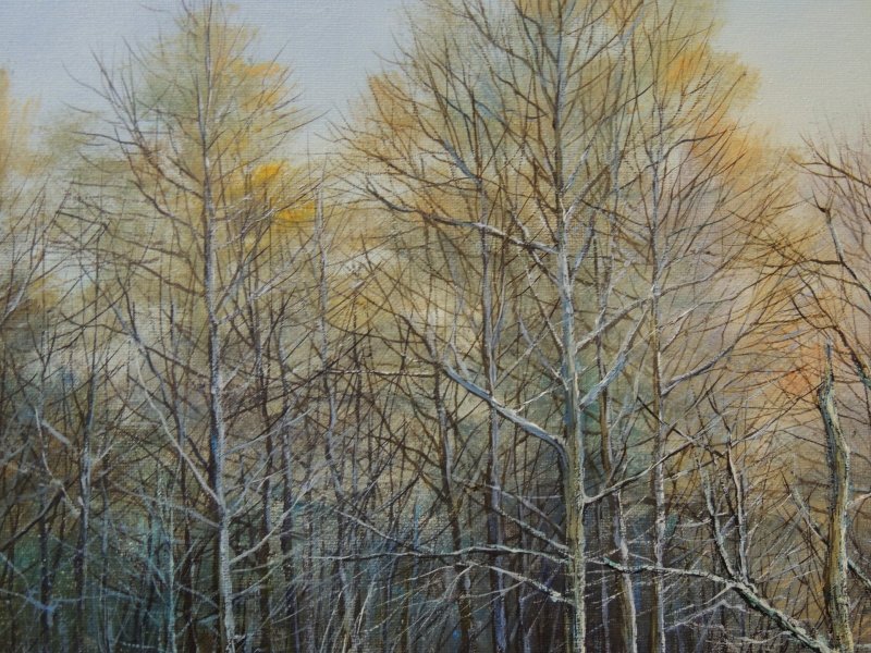 Immagine aggiuntiva 3: Fotorealismo Paesaggio Pittura "Pietre opache: riflessi invernali silenziosi", pittore Oleg Riabchuk olio tela 