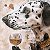 Dalmatian Dog Vintage Collage – buy online