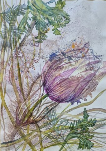 Живопись "Акварель Сон-трава", живописец Марина Бура акварель бумага в Jose Art Gallery