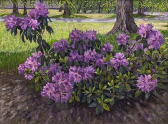 In the spring garden