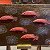Red fish – buy online