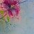 Looking towards the sky – buy online