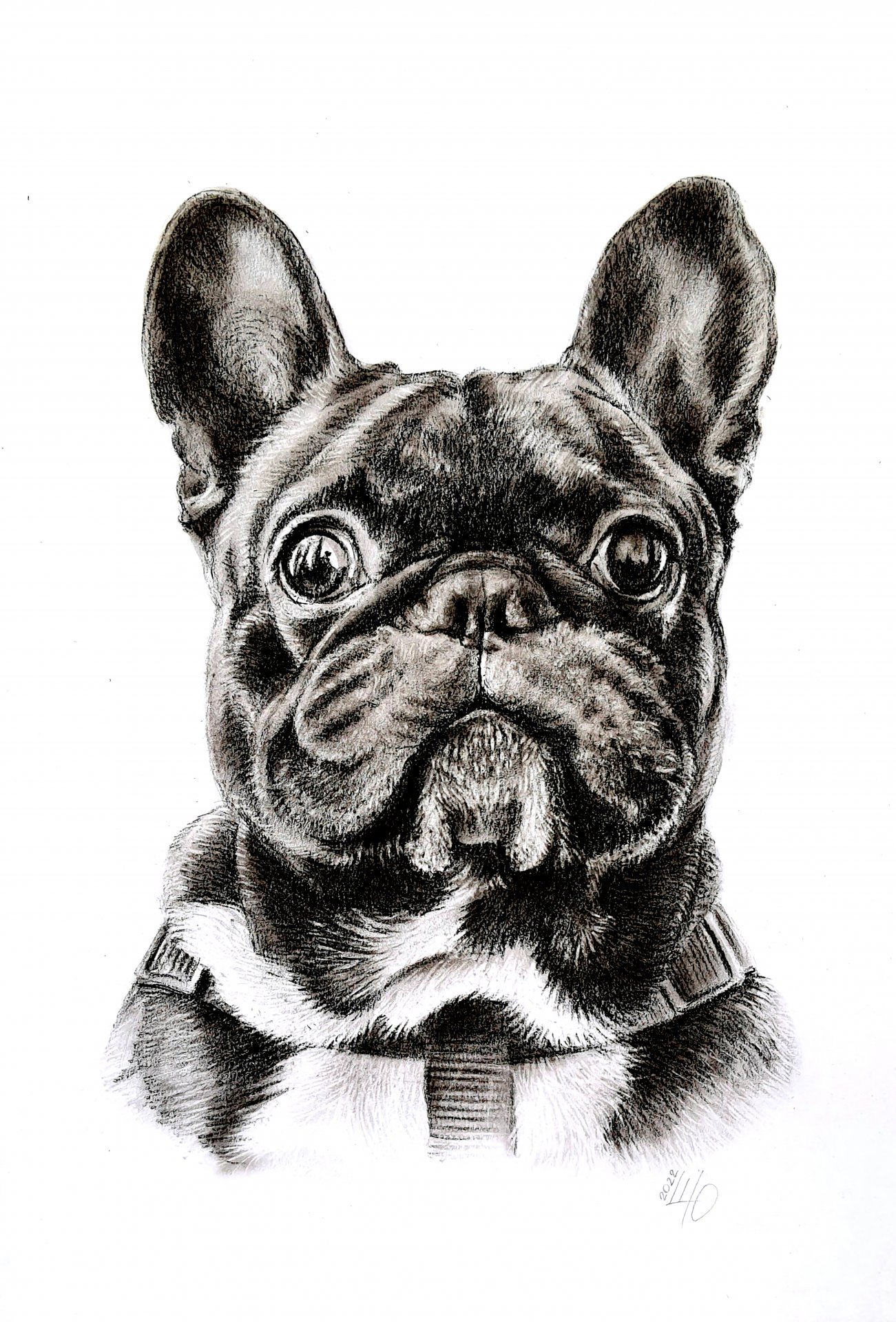 Boiserie e Rodameio de EVA: Decore em Minutos Sem Reforma, image size:1301x1920