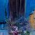 Evening quiet – order