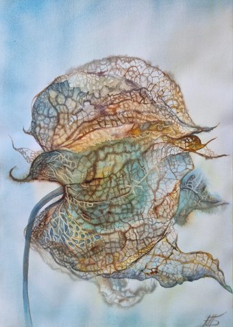 Живопись "Акварель Физалис", живописец Марина Бура акварель бумага в Jose Art Gallery