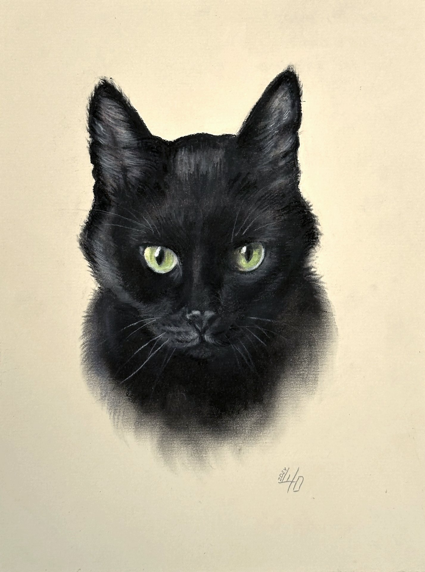 Black Cat Green Eyes Portrait Drawing - Julia Shilo