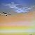 Painting Still Life – buy online