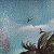 Surf – order