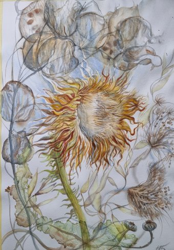 Живопись "Акварель Сухоцветы", живописец Марина Бура акварель бумага в Jose Art Gallery