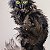 Silhouette Nocturne : La Magie du Chat - painting