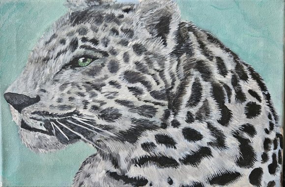 Snow leopard