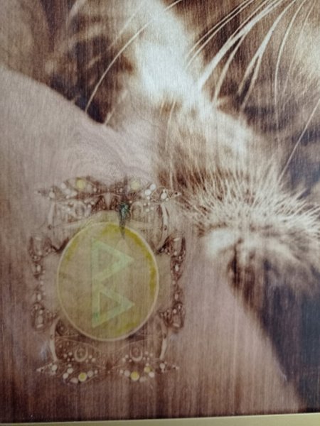 Immagine aggiuntiva 1: Fotorealismo Animalistico Pittura "Berkana: Positivo e Magnetismo", pittore BURNING BEAUTY tecnica mista legno 