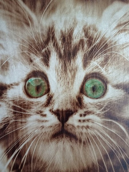 Immagine aggiuntiva 2: Fotorealismo Animalistico Pittura "Berkana: Positivo e Magnetismo", pittore BURNING BEAUTY tecnica mista legno 