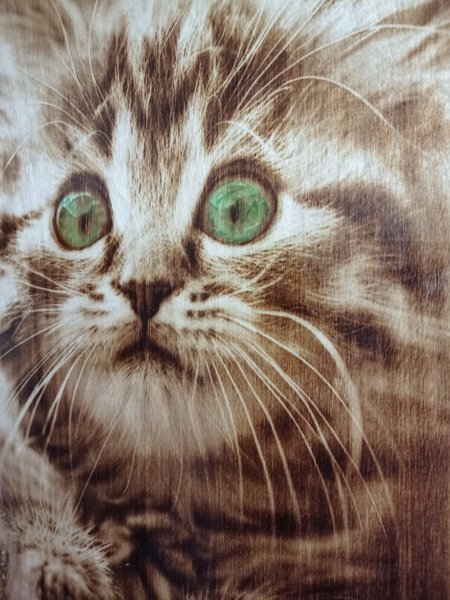 Immagine aggiuntiva 3: Fotorealismo Animalistico Pittura "Berkana: Positivo e Magnetismo", pittore BURNING BEAUTY tecnica mista legno 