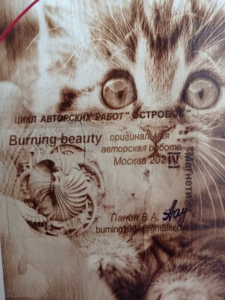 Immagine aggiuntiva 5: Fotorealismo Animalistico Pittura "Berkana: Positivo e Magnetismo", pittore BURNING BEAUTY tecnica mista legno 