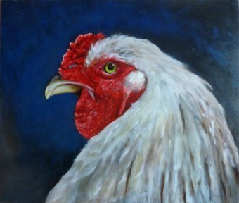 Peinture "Hahn - l'expérimenté", peintre Lochter Andreas huile carton à la Jose Art Gallery
