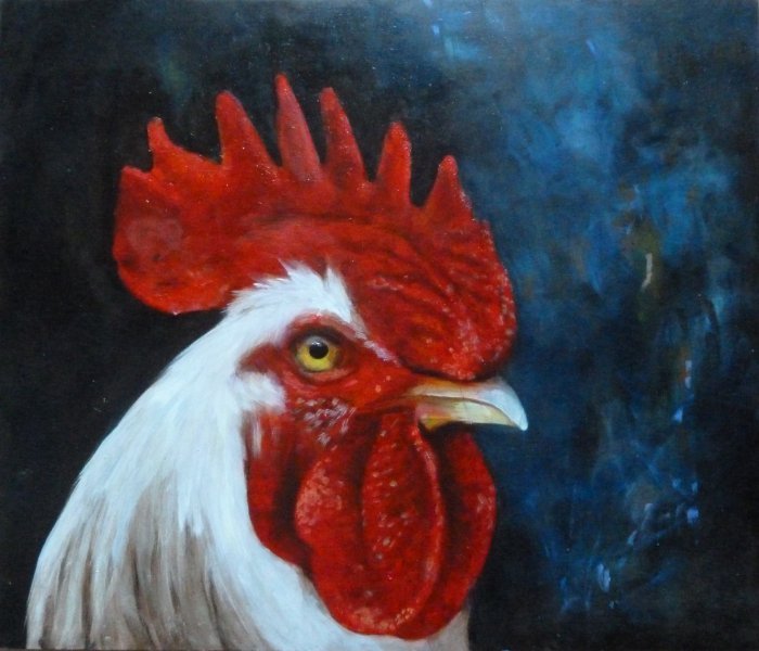 Réalisme Animalisme Peinture "Hahn - le curieux" peintre Lochter Andreas huile carton 