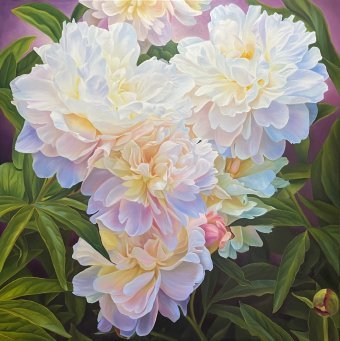 Danza delle peonie estive